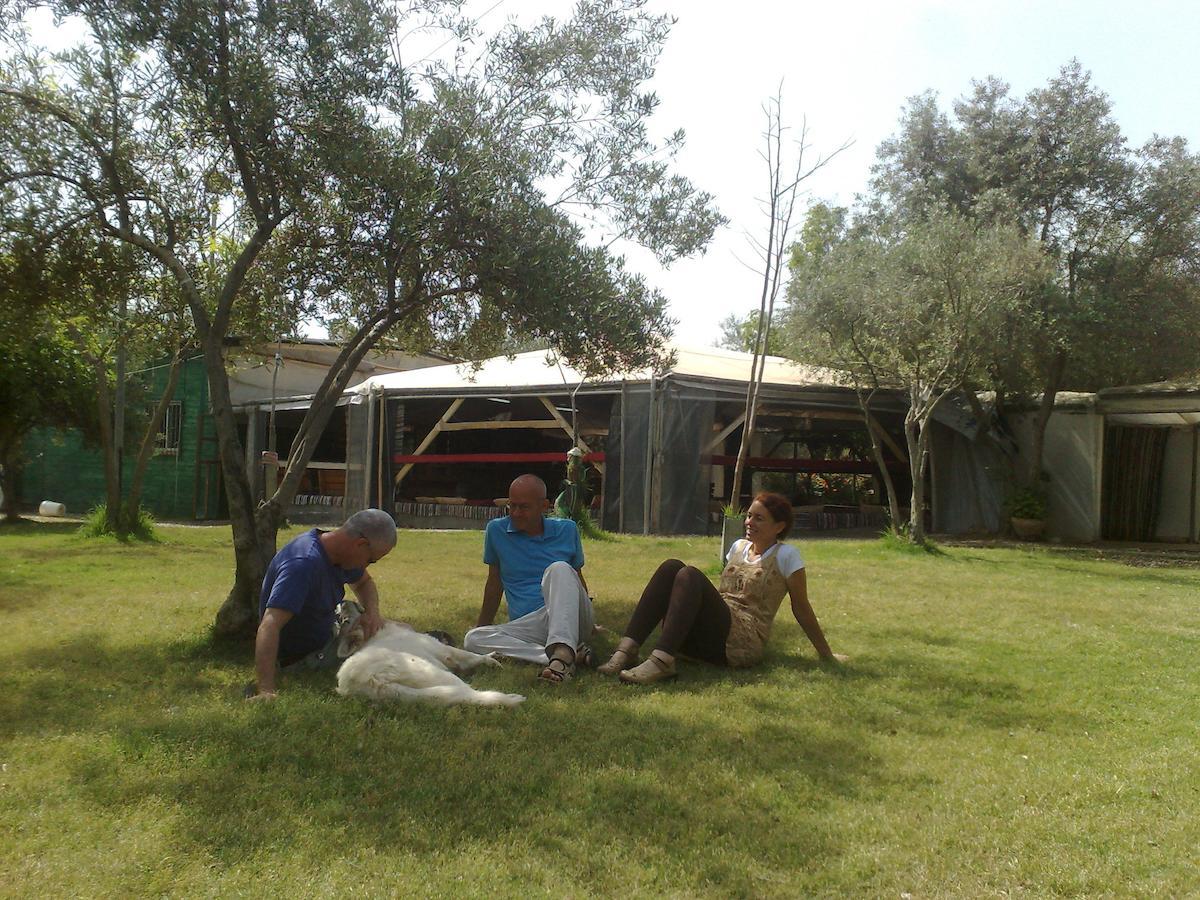 Villa Peace Tent Kfar Rut Zimmer foto